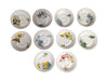 Set of 10 Bluebird Floral Cups and Saucers Vintage