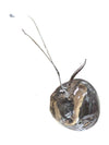 Glass Apples and Grapes Decorative Set (4pcs)