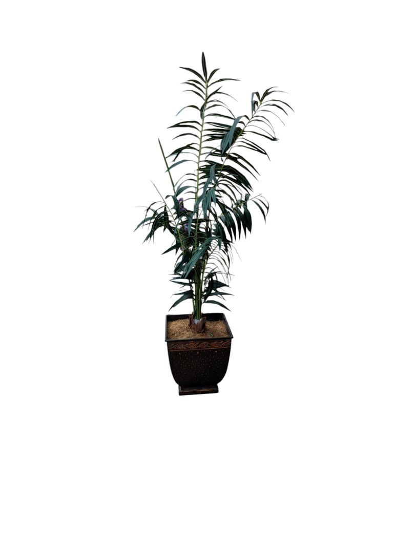 Artificial flowers, foliage and fruit, of plastics