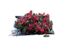Holiday Poinsettia Floral Décor Lot – Artificial Arrangements & Garlands