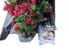 Holiday Poinsettia Floral Décor Lot – Artificial Arrangements & Garlands