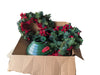 Christmas Décor Lot – Wreath, Garland & Tree Stand