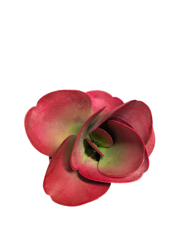 Modern Abstract Silver Metal Fruit Bowl with Faux Red Apples & Succulent Accent