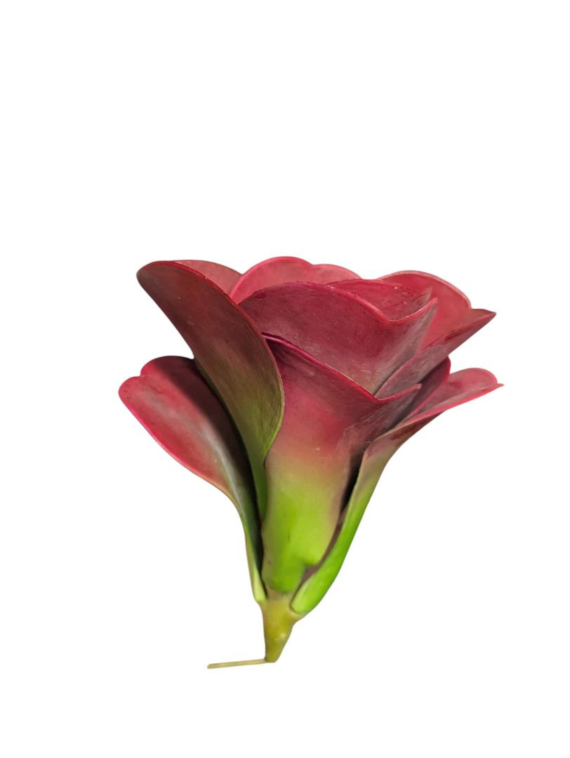 Modern Abstract Silver Metal Fruit Bowl with Faux Red Apples & Succulent Accent