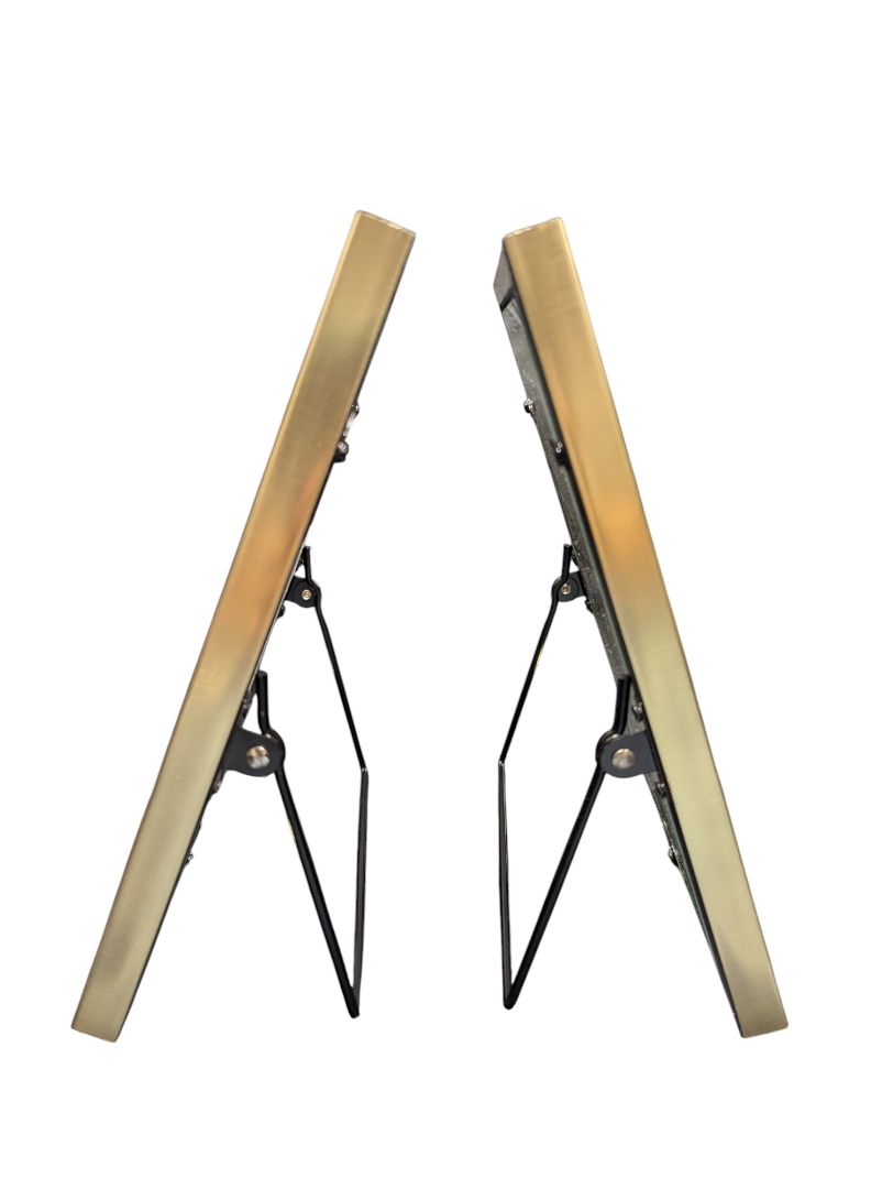 Pair of Studio Décor Expressions Gold Tabletop Frames