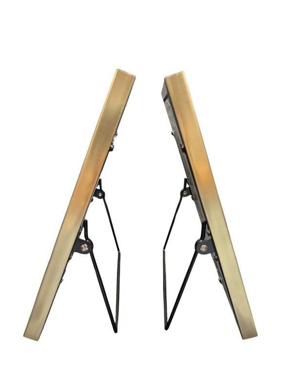 Pair of Studio Décor Expressions Gold Tabletop Frames