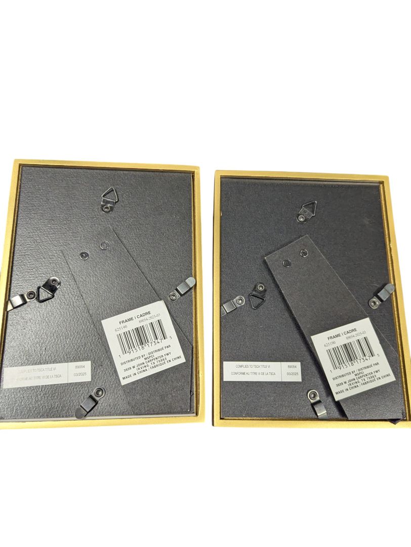 Pair of Studio Décor Expressions Gold Frames