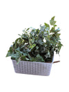 Artificial Ivy Garland Lot with Storage Basket