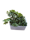 Artificial Ivy Garland Lot with Storage Basket