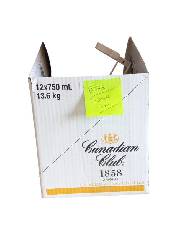 Holiday Lights & Accessories Bundle – Assorted Strands, Replacement Bulbs, Clips