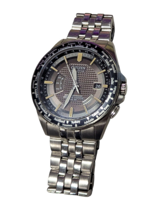 Citizen Eco-Drive World Perpetual Calendar Watch