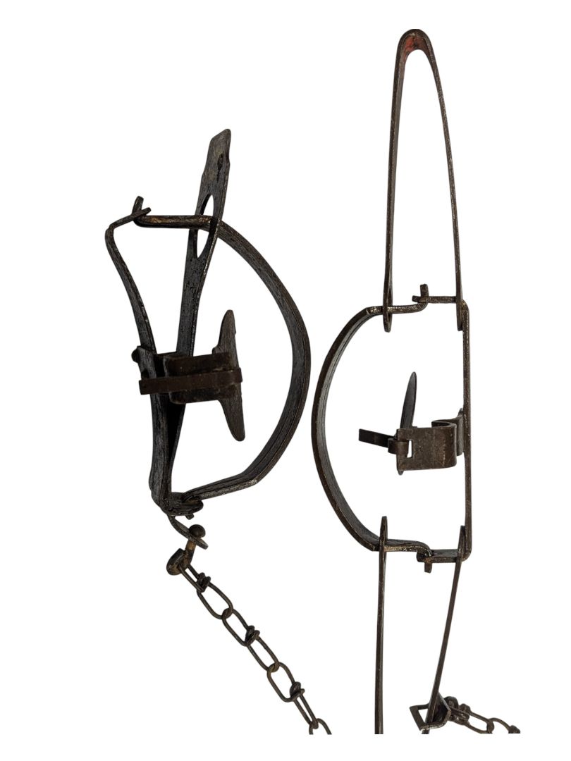 Vintage Oneida Victor Long Spring Traps (Pair)