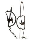 Vintage Oneida Victor Long Spring Traps (Pair)