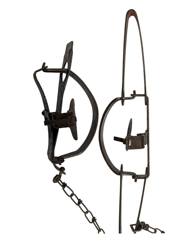 Vintage Oneida Victor Long Spring Traps (Pair)