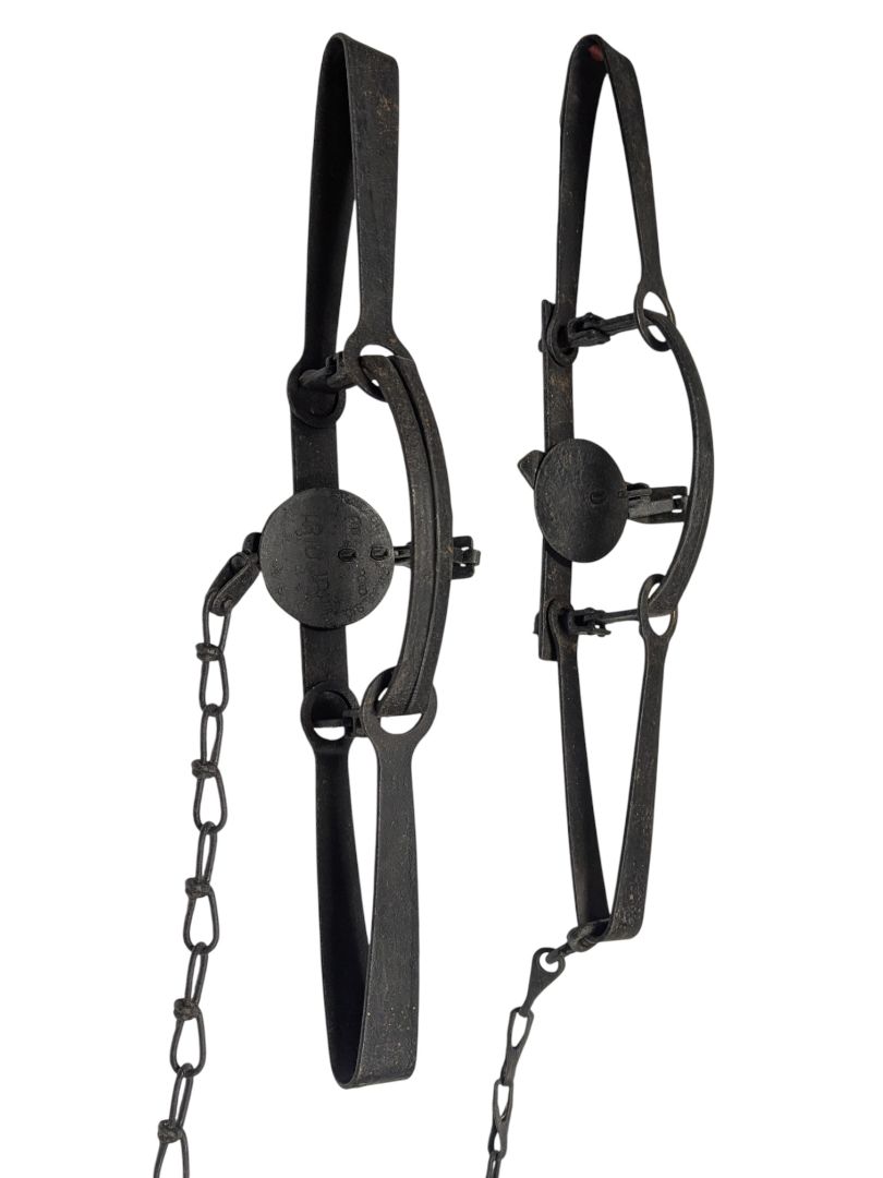 Vintage Oneida Newhouse No. 2 Long Spring Traps (Pair)