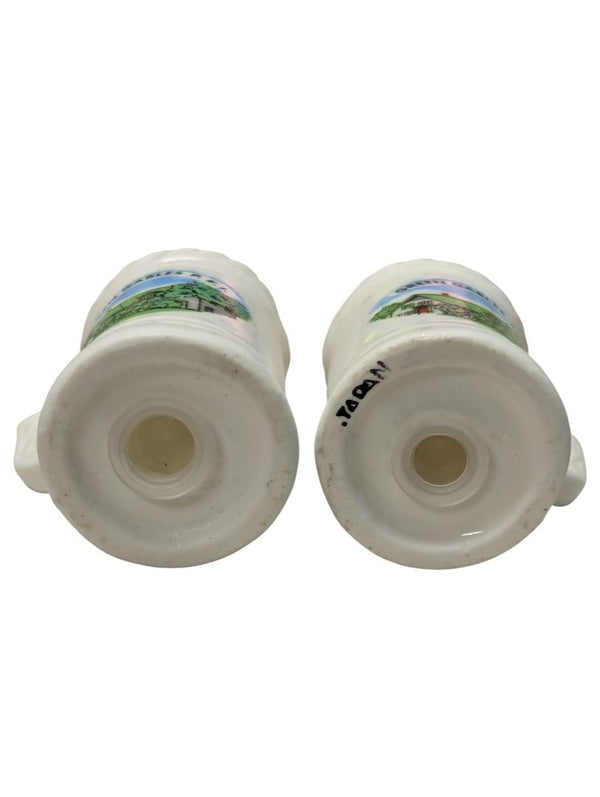 Vintage “Green Gables P.E.I.” Souvenir Salt & Pepper Shakers
