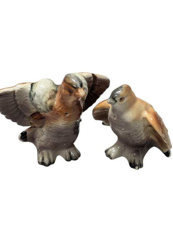 Vintage Hand-Painted Ceramic Bird Salt & Pepper Shakers