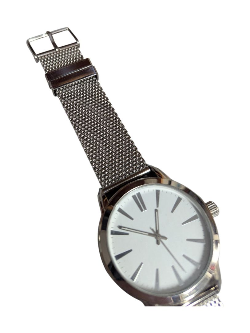 Joe Rodeo Stainless Steel Mesh Band Watch
