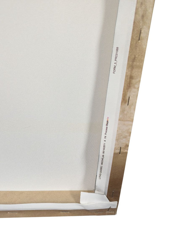 AeroSmith Rock Band Canvas Wall Art