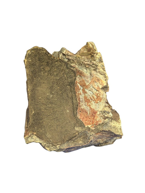 Iron-Stained Sandstone with Hematite Inclusions