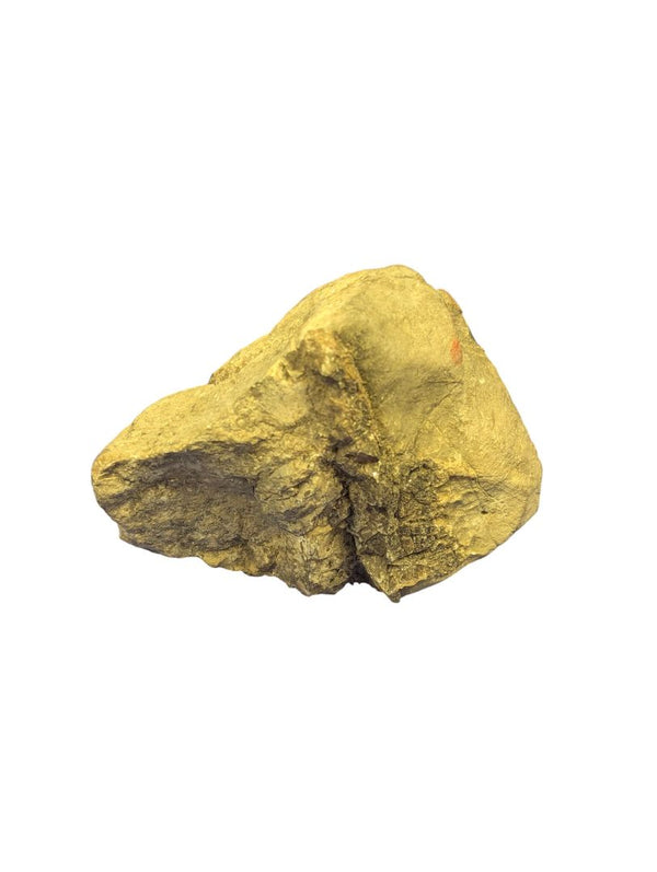 Golden Ironstone Mineral Specimen