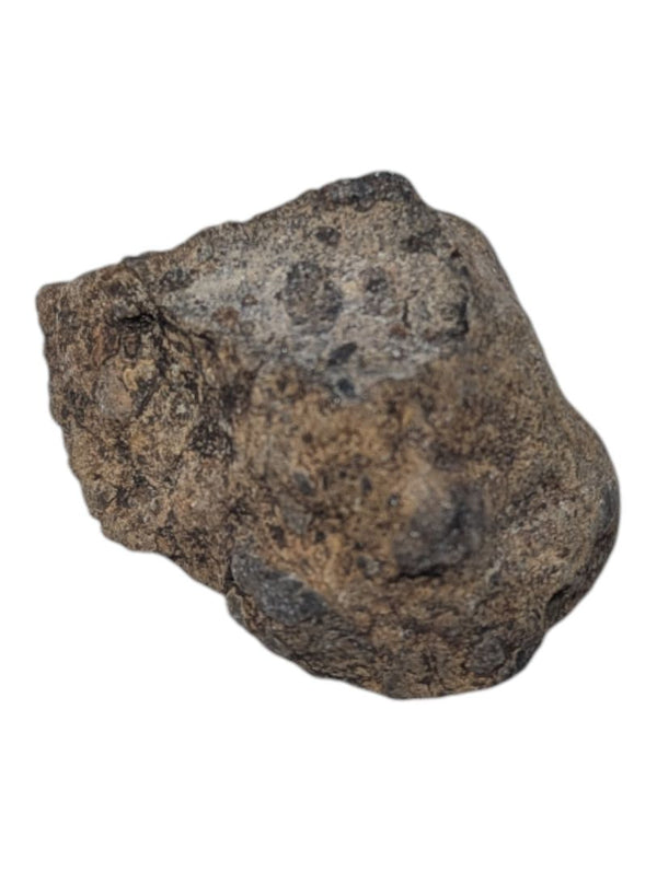 Assorted Geological Rock Collection Lot