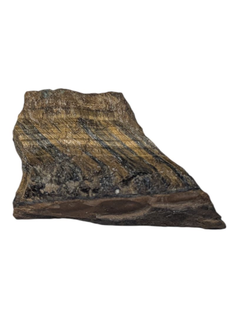 Tiger’s Eye Polished Rough Specimen
