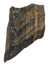 Tiger’s Eye Polished Rough Specimen