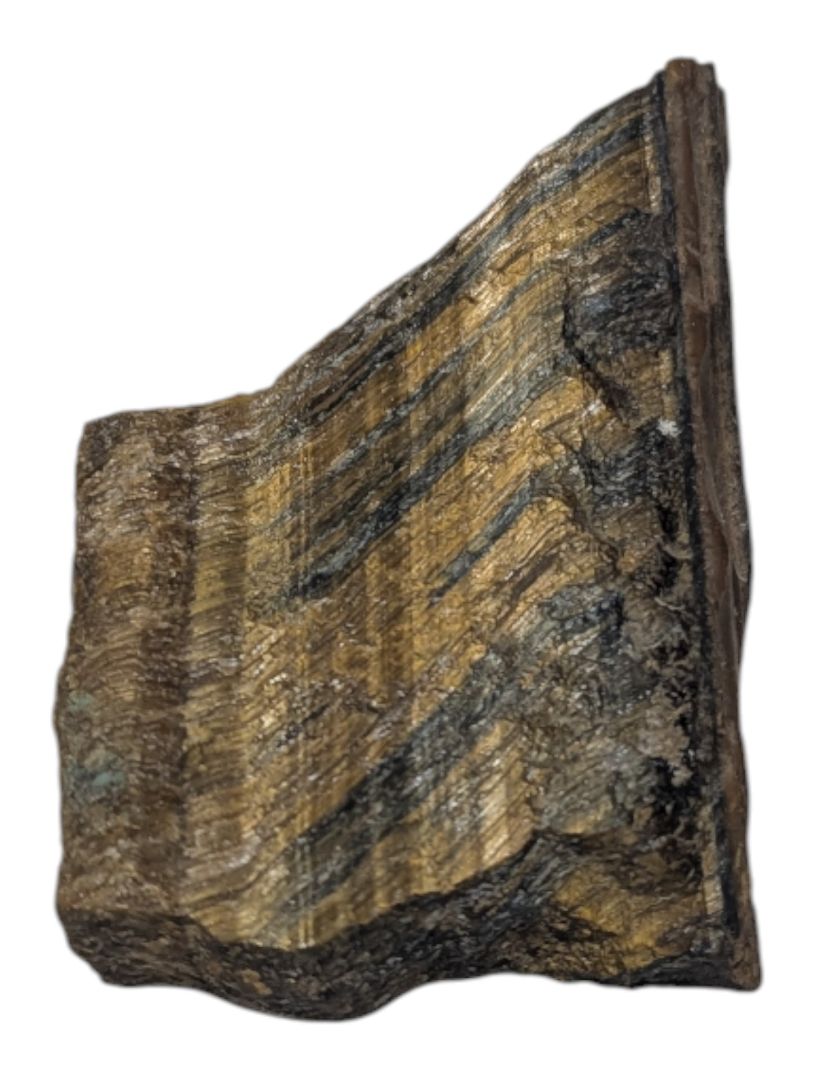 Tiger’s Eye Polished Rough Specimen