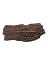 Petrified Wood Branch Fragment – Bark-Textured Rough