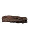 Petrified Wood Branch Fragment – Bark-Textured Rough