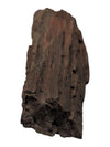 Petrified Wood Branch Fragment – Bark-Textured Rough