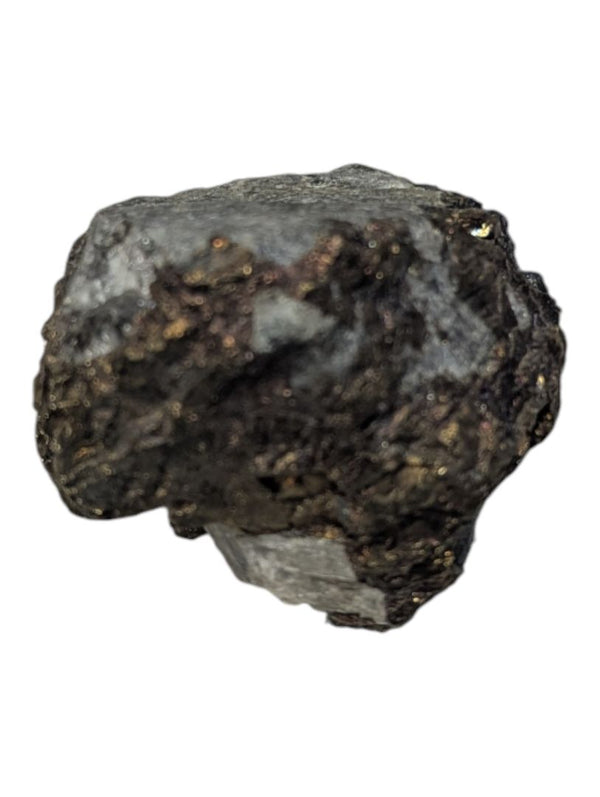 Chalcopyrite in Quartzite Mineral Specimen