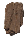 Petrified Wood Specimen