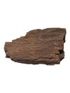 Petrified Wood Specimen