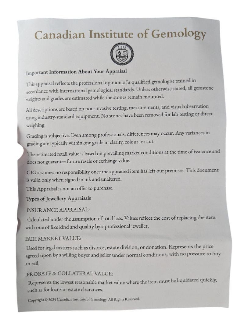 14 kt White Gold Black Diamond Stud Earrings (0.84 ct tw)