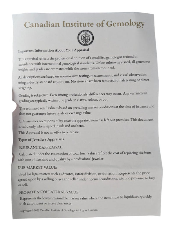 14 kt White Gold Black Diamond Stud Earrings (0.84 ct tw)