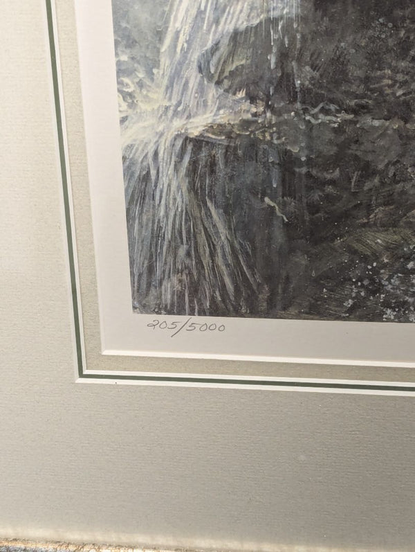 Robert Bateman “Giant Panda” Limited Edition Print – Signed & Numbered 205/5000 (1985)