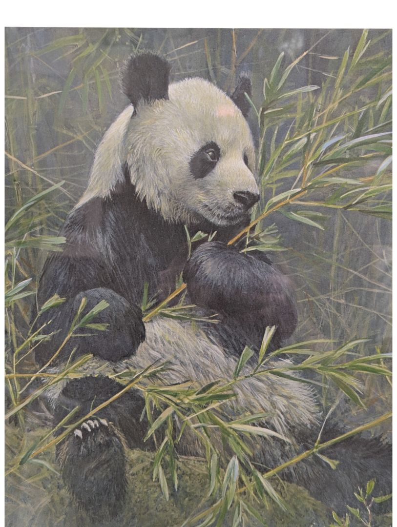 Robert Bateman “Giant Panda” Limited Edition Print – Signed & Numbered 205/5000 (1985)