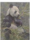 Robert Bateman “Giant Panda” Limited Edition Print – Signed & Numbered 205/5000 (1985)