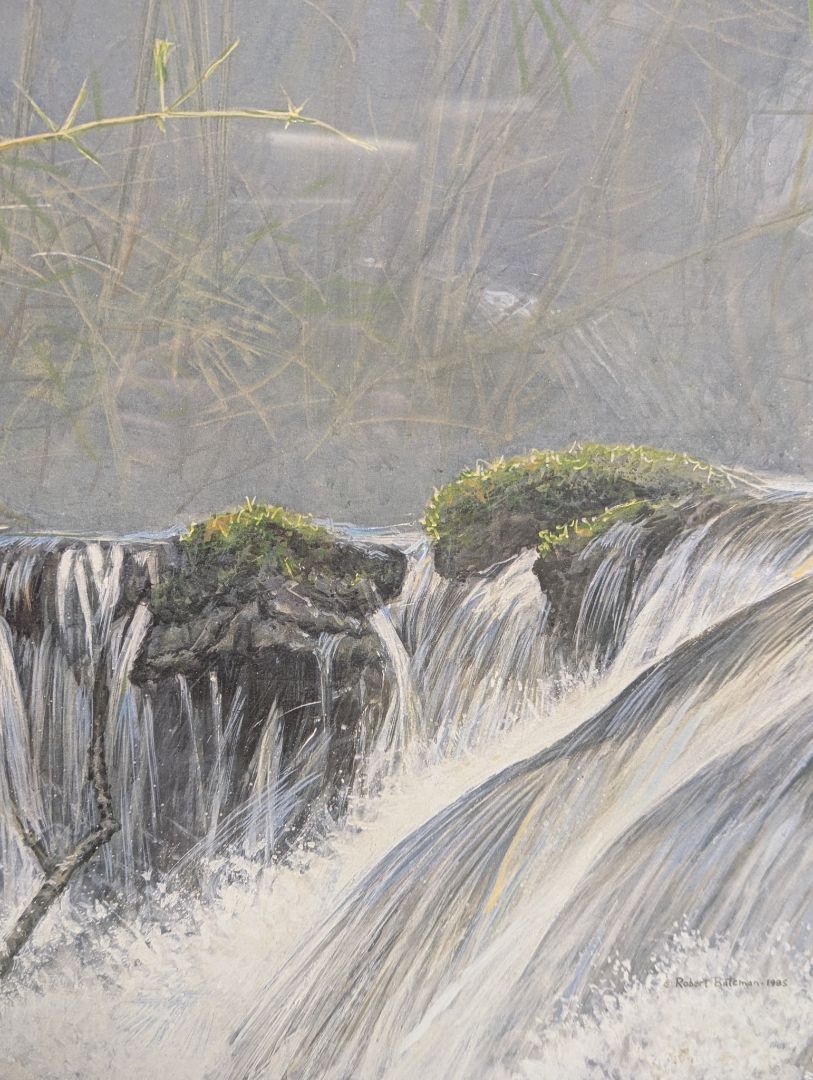 Robert Bateman “Giant Panda” Limited Edition Print – Signed & Numbered 205/5000 (1985)