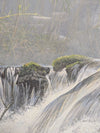 Robert Bateman “Giant Panda” Limited Edition Print – Signed & Numbered 205/5000 (1985)