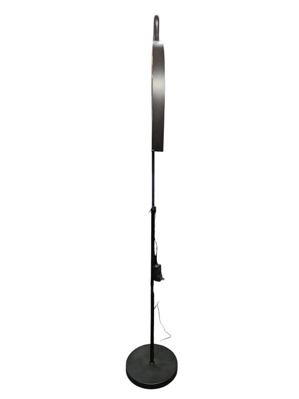 NEW LeeZM Adjustable LED Floor Lamp
