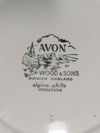 Avon by Wood & Sons “Alpine White” Ironstone Dinner Plate