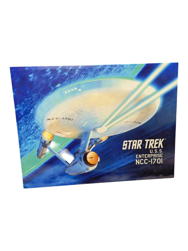 Star Trek U.S.S. Enterprise Canvas Wall Art