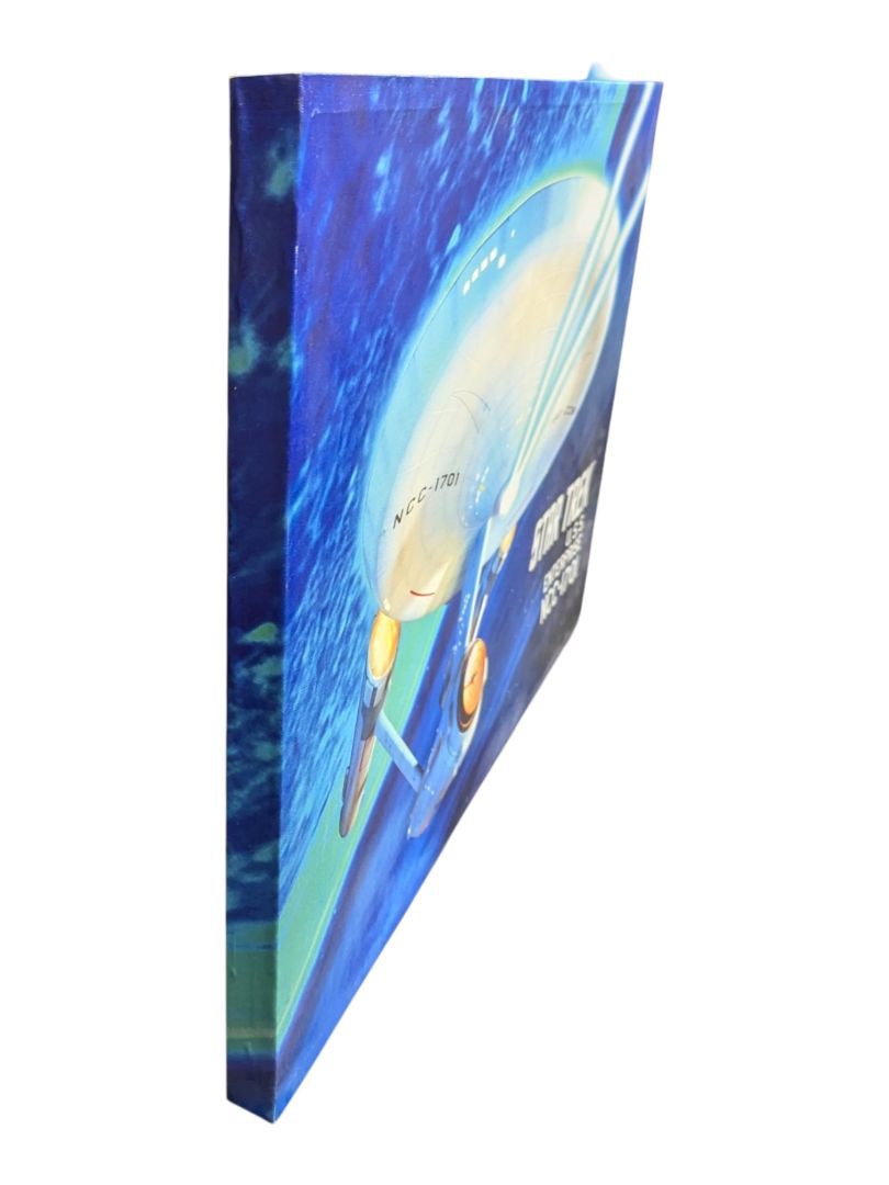 Star Trek U.S.S. Enterprise Canvas Wall Art