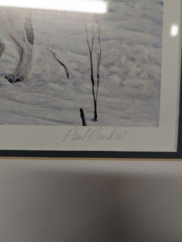 Framed Rankin “Mystical Call” Wolf Print