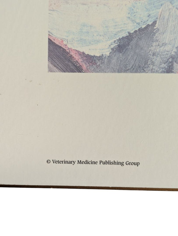 Scott Mack "Rekindling the Bond" Veterinary Medicine Publishing Group Print