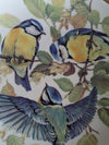 1985 WWF "Blaumeise" (Blue Tit) Limited Edition Porcelain Collector Plate – Tirschenreuth