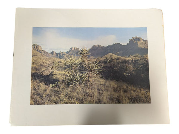 Desert Mountain Landscape Photographic Print